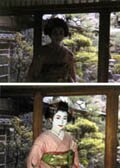 maiko